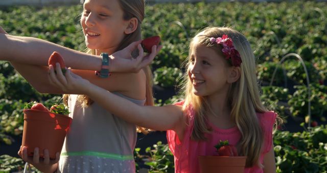 Two young girls are happily picking strawberries at a farm. The sun is shining brightly. Both girls are holding baskets with strawberries and smiling. The background showcases rows of strawberry plants. This image can be used to promote farm visits, organic food, children's outdoor activities, and rural lifestyles.