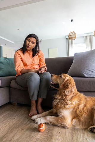 Mature woman training golden retriever on sofa at home bonding with dog and ball