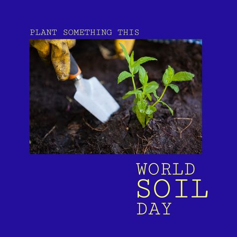 World Soil Day Celebration in Vibrant Garden