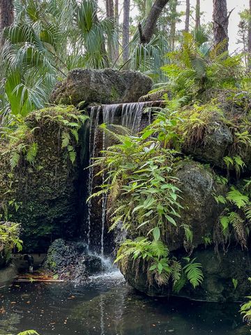 Serene waterfall cascading in lush tropical forest
