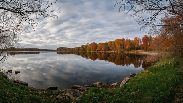 Tranquil Lake Reflecting Autumn Foliage in Peaceful Forest