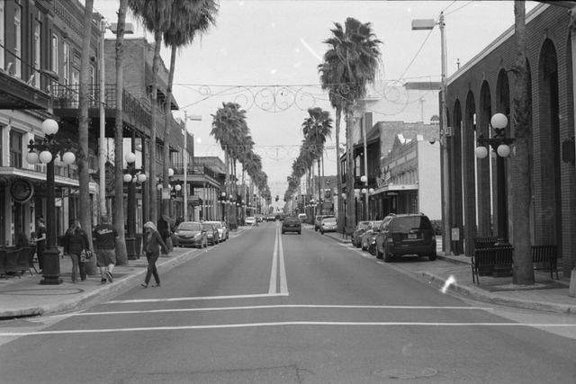 A historic urban street lined with tall palm trees captured in black and white, showing the architecture of old buildings, classic lamp posts, and a perspective view that draws the eye down the road. People are walking and cars are parked along the street. Great for projects focusing on nostalgia, vintage themes, urban life, historical architecture, or black and white photography.