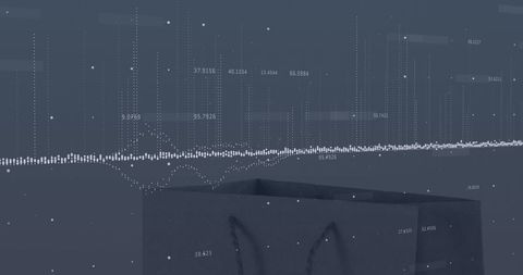 Digital Data Analytics with Shopping Bag Interface
