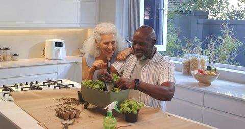 Senior Couple Planting Fresh Herbs on Kitchen Island