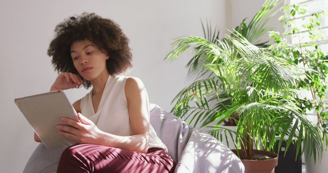 Woman Reading Tablet in Bright Home Office with Indoor Plants - Download Free Stock Images Pikwizard.com