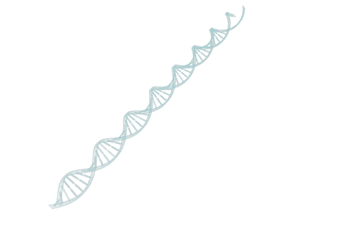 blue dna helix on transparent background for medicine and science - Download Free Stock Videos Pikwizard.com