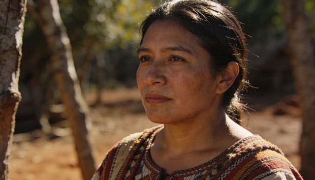 Woman gazing in sunlit rural grove wearing traditional woven tunic