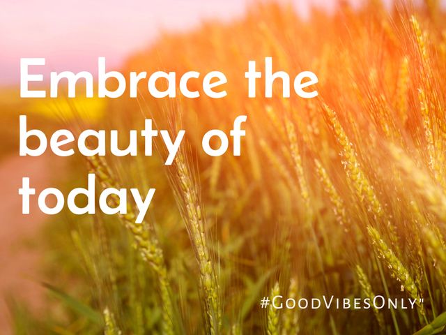 Wheat field scene featuring sunlight creating a warm glow with a motivational message 'Embrace the beauty of today' and #GoodVibesOnly hashtag overlaid. Ideal for posters, social media posts, motivational blogs, wellness websites, and uplifting marketing campaigns focusing on positivity and serenity.