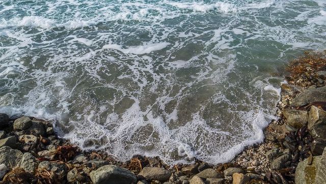 Foamy surf lapping over pebble and rocky shoreline with kelp and clear green water