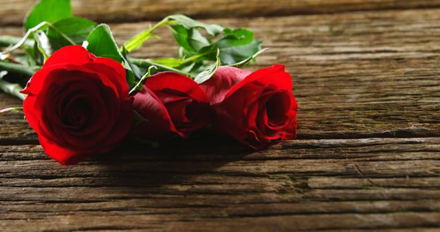 Two vibrant red roses lie on a rustic wooden surface, symbolizing romance or a special occasion. Their deep color and fresh appearance suggest they could be a gift for a loved one or part of a celebratory event.