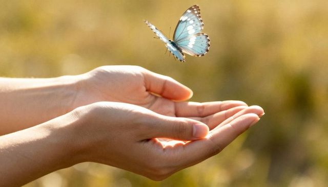 Hands cupping sunlight with blue butterfly hovering above palms evoking gentle freedom
