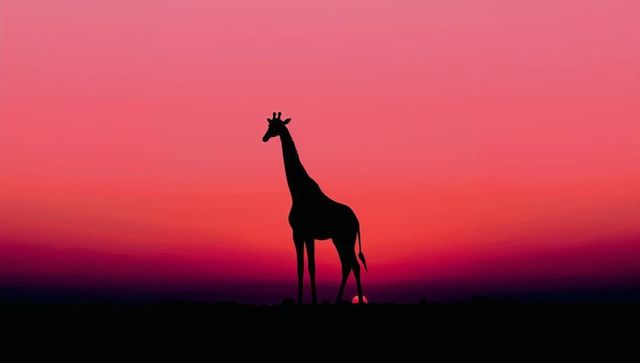 Majestic Giraffe Silhouette Against Vivid Sunset Sky