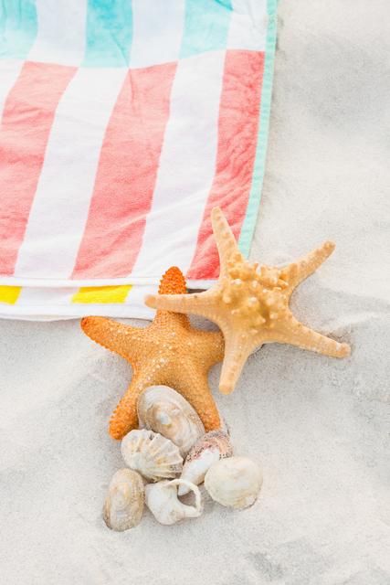Starfish, sea shells and beach blanket on sand at tropical beach
