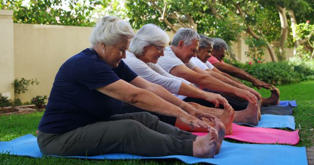 Seniors Performing Group Outdoor Yoga - Download Free Stock Images Pikwizard.com