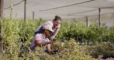 Diverse coworkers observing plants at a nursery under shade netting