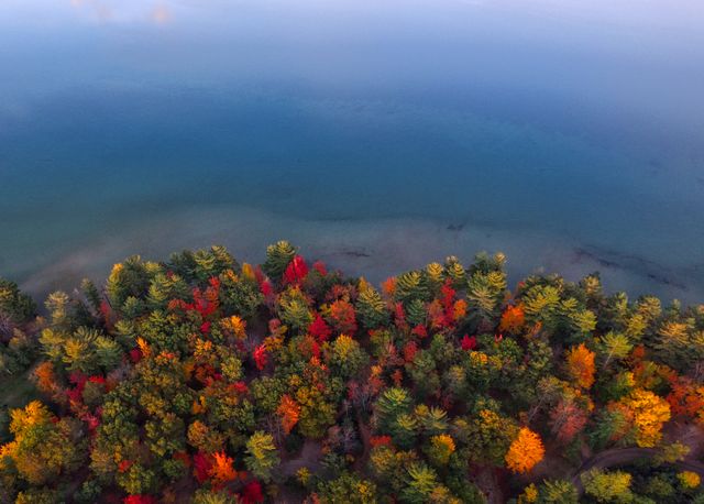 This scenic, overhead perspective captures the tranquil beauty of a forest transitioning into autumn colors bordering a placid lake. Ideal for nature, travel, and environmental projects, the image evokes feelings of peace and scenic splendor, and is perfect for use in websites, brochures, or calendars showcasing seasonal change and natural beauty.