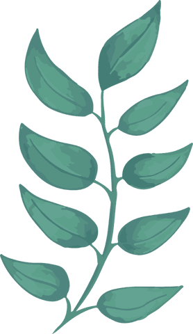 watercolor brush-effect transparent teal botanical branch - Download Free Stock Videos Pikwizard.com