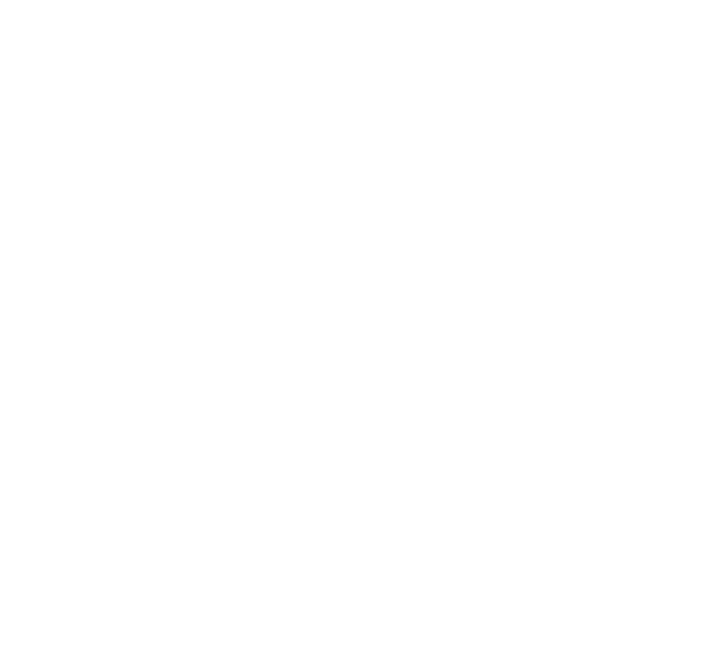 Silhouette of Sportsman on Transparent Background in Martial Arts Pose - Download Free Stock Videos Pikwizard.com