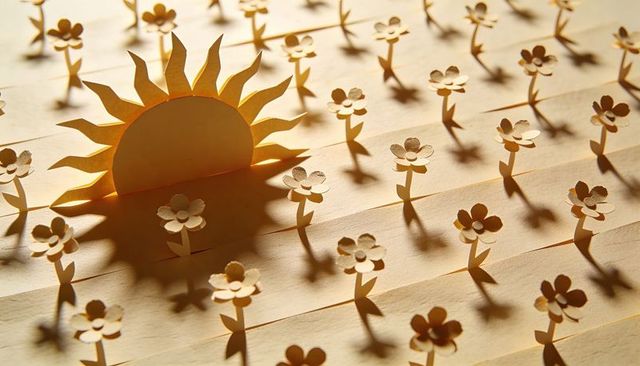Paper sunrise casting long shadows over field of standing pop-up flowers