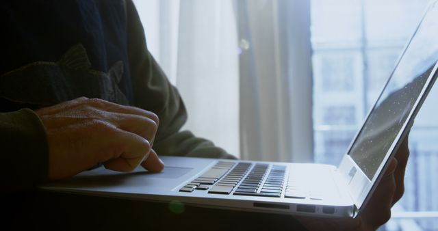 Man Typing on Laptop by Window with Sunlight and Shadows - Download Free Stock Images Pikwizard.com