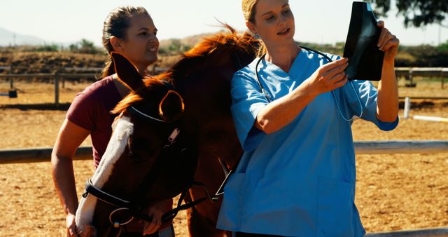 Veterinarian examing an x-ray while standing outside with horse and owner. Ideal for promoting veterinary services, equine care products, animal health research, and outdoor consultation themes.