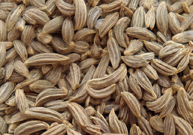 Close-up view of dried cumin seeds, showcasing their detailed texture and shape. Ideal for culinary magazines, cooking blogs, spice recipes, and healthy eating guides. Enhances articles about spices, natural foods, and aromatic seasonings.