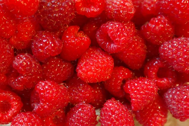 Close-up of Fresh Raspberries in Vibrant Red Colors - Download Free Stock Photos Pikwizard.com