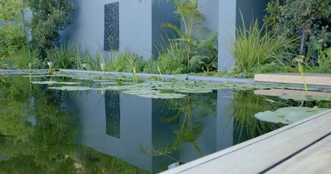 Mirrorlike garden pond reflecting light gray wall and lily pads on wooden decking, tranquil courtyar