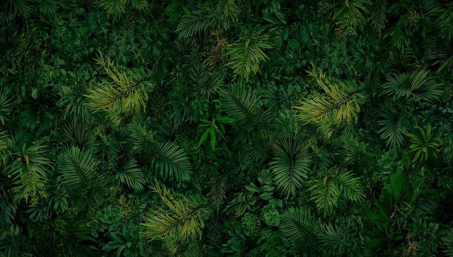 Creating dense tropical foliage featuring palm fronds and ferns for lush green texture