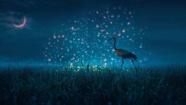 Moonlit heron standing in dewy meadow with bioluminescent butterflies, crescent moon