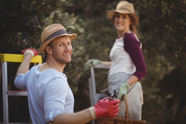 Happy couple working together at an olive farm, smiling and enjoying the outdoor activities. They are both wearing hats and gloves, standing on ladders, harvesting olives. Suitable for themes related to agriculture, team effort, rural lifestyle, and outdoor farm activities.
