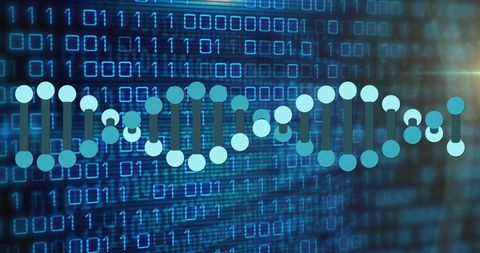 Digital DNA Strand Binary Code Connection Science Technology - Download Free Stock Images Pikwizard.com