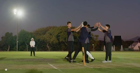 Multiracial cricket team celebrating wicket on floodlit evening pitch teamwork and victory