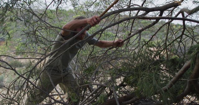 Man pushing aside branches while hiking in dense forest. Ideal for use in outdoor adventure, nature exploration, wilderness survival themes, and physical fitness contexts.