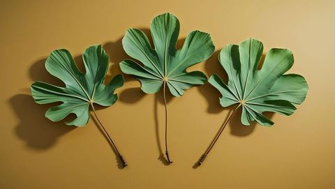 Three palm leaves on mustard yellow surface creating minimalist tropical vibe