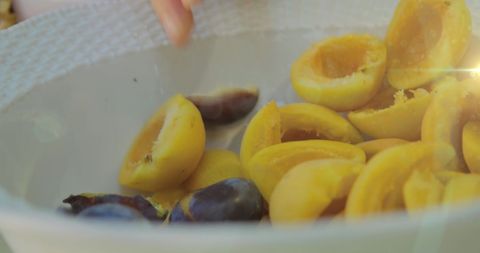 Fresh sliced plums in sunlit bowl