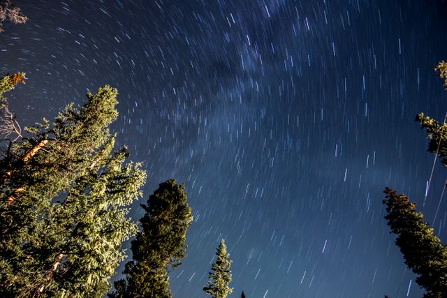 Starry night with long-exposure star trails above evergreen trees in forest. Ideal for projects related to nature, nighttime, astrophotography, outdoor adventures, and calm tranquility. Could be used for posters, website headers, astronomy blogs, postcards.