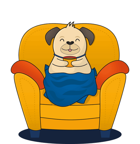 happy dog with hot cocoa wrapped in blanket on chair transparent background - Download Free Stock Videos Pikwizard.com