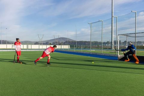 Male Field Hockey Players Prepare to Strike Ball Near Goal on Turf