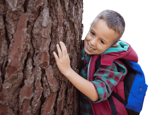 joyful child embracing tree outdoors with enthusiasm transparent - Download Free Stock Videos Pikwizard.com