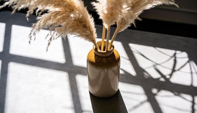 Sunlit ceramic vase with pampas grass casting window grid shadows on grey table