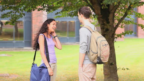 Two Students Conversing Under Tree on College Campus