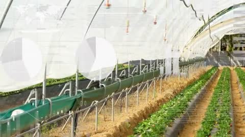 Irrigation System Analysis Within Modern High-Tech Greenhouse