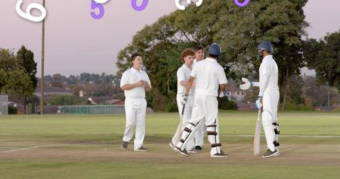 Evening cricket teammates exchanging handshakes and congratulating batsman on suburban pitch