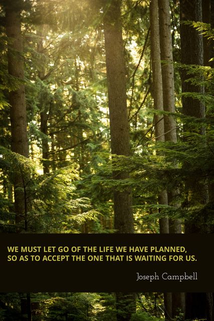 Serene Forest with Inspirational Quote Promoting Change - Download Free Stock Templates Pikwizard.com