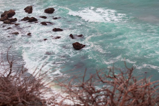 Waves Crashing on Rocky Shore with Overgrowth - Download Free Stock Images Pikwizard.com