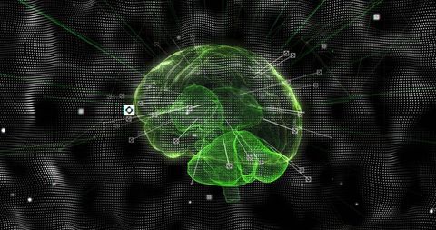 Futuristic Green Wireframe Brain in Digital Neural Network