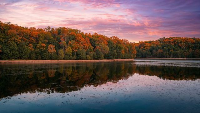 Autumn forest reflecting on calm lake at sunset with pink and purple sky