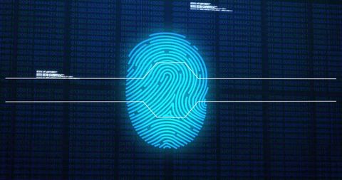 Digital Fingerprint with Cyber Data Connections - Download Free Stock Images Pikwizard.com