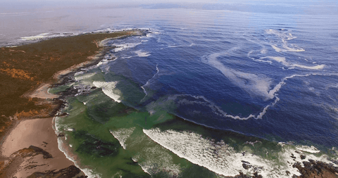 transparent ocean waves meeting rugged coastline aerial view - Download Free Stock Videos Pikwizard.com
